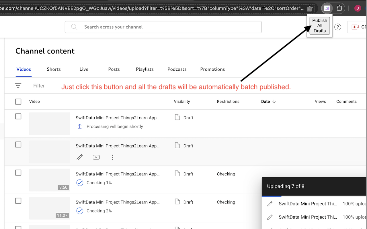 YouTube Bulk Publisher - Chrome Extension